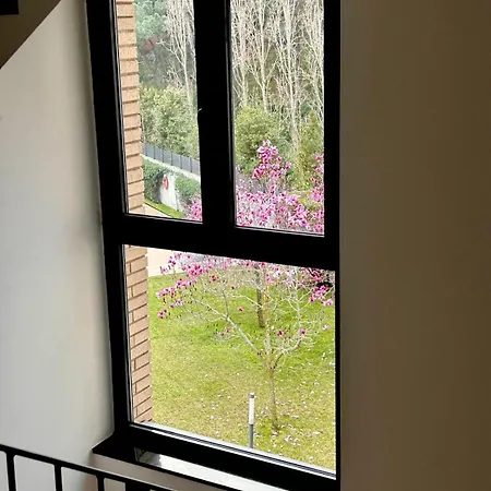 With Pool And Parking Apartment